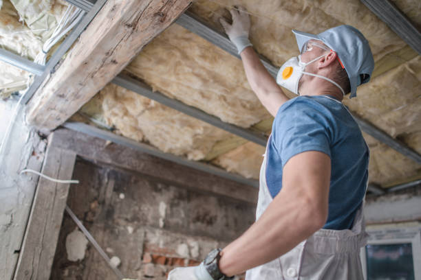 Best Commercial Insulation Services  in Evans City, PA