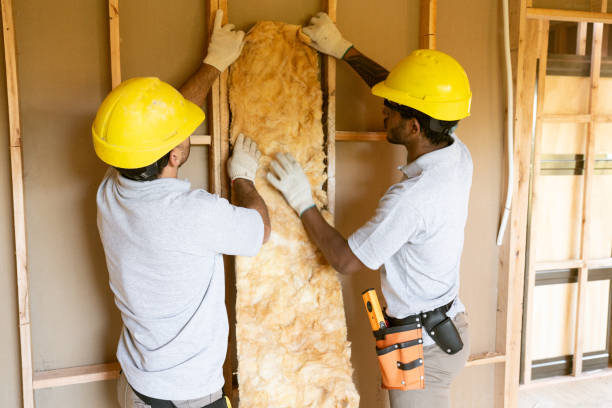 Best Attic Insulation Installation  in Evans City, PA